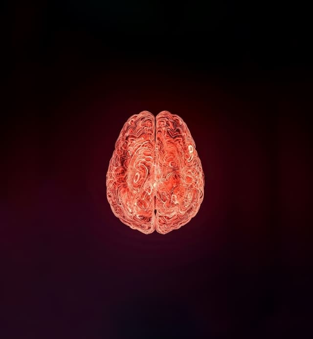 Cerebral | Automation Assistant